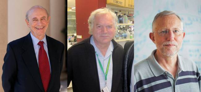Premio Nobel de Fisiología o Medicina 2020 al descubrimiento del virus de la hepatitis C