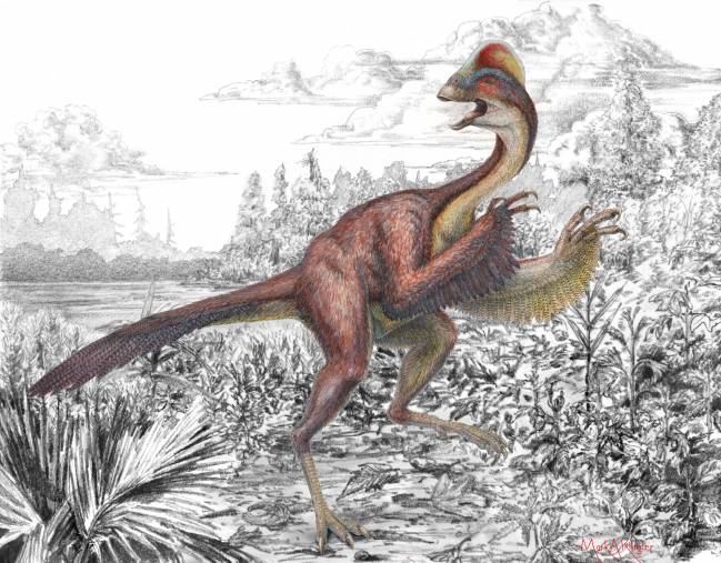 Presentan al ‘pollo del infierno’, un misterioso dinosaurio hallado en EE UU
