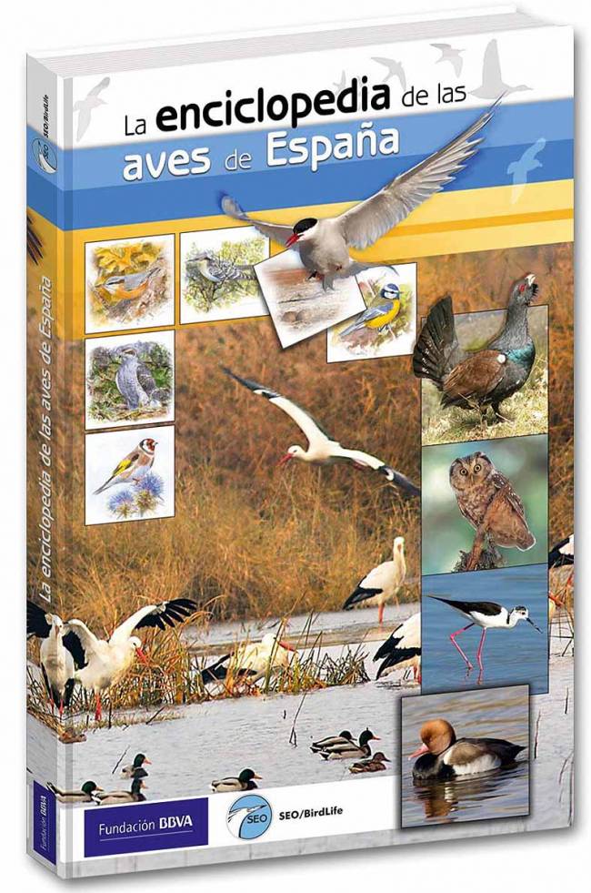 Presentan la enciclopedia digital de las aves más completa del mundo