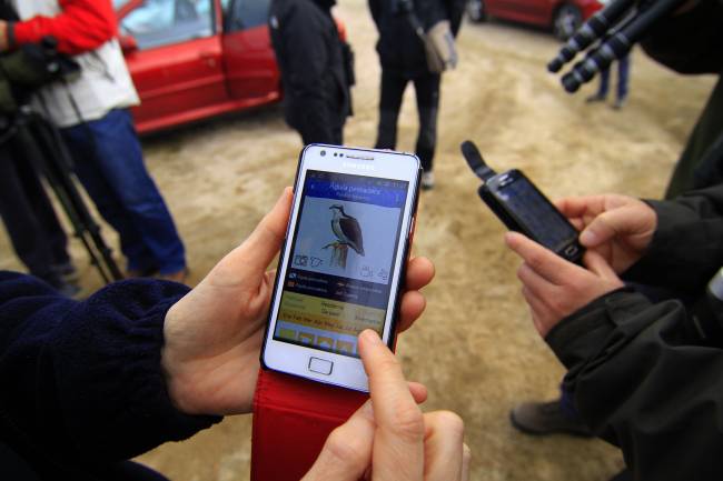 Presentan la primera aplicación móvil para observar y conocer las aves españolas