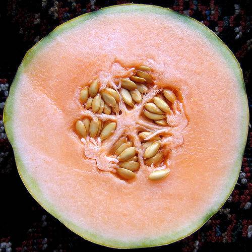Presentan un borrador de la secuencia del genoma del melón