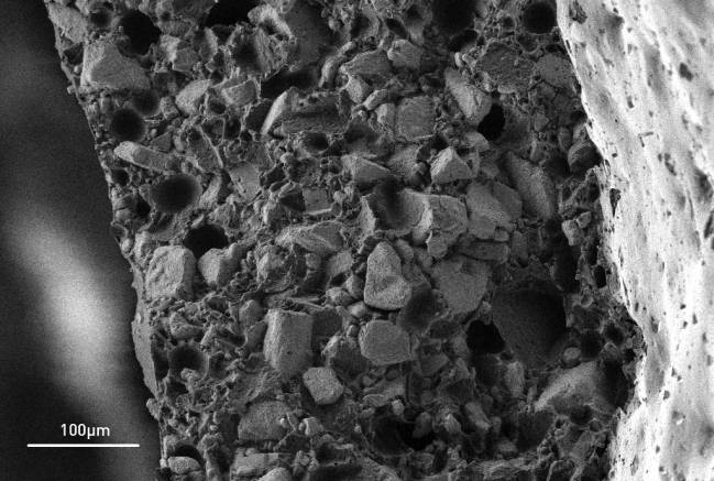 Prueban con éxito biomateriales avanzados para regenerar el nervio ciático