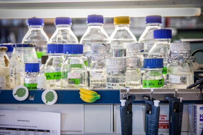 ¿Queremos que la ciencia nos salve? Démosle financiación, atención y dirección