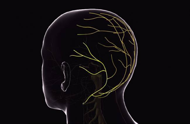 Reivindican el legado de dos médicos españoles del siglo XIX a la neurología 
