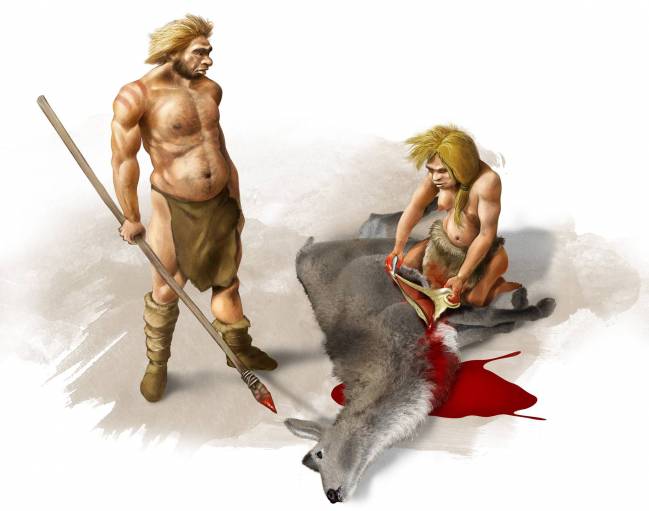 Restos de un niño revelan cómo crecía el cerebro de los neandertales