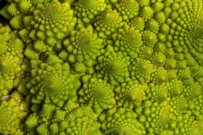 Resuelto el misterio de la curiosa forma de la coliflor romanesco
