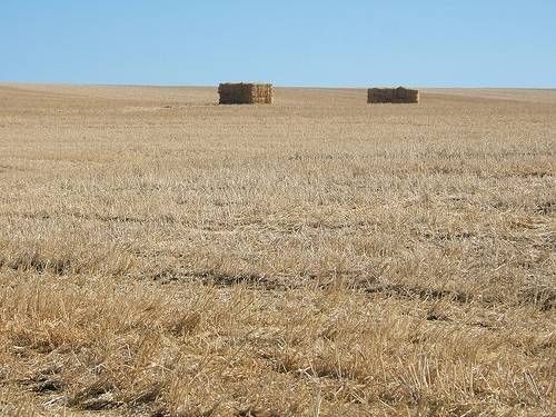Reveladas las claves para reducir el efecto de la agricultura en el cambio climático