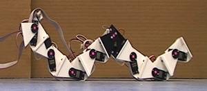 Robots que se mueven como animales invertebrados