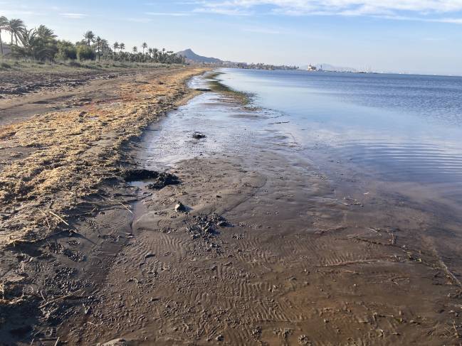 Mar Menor