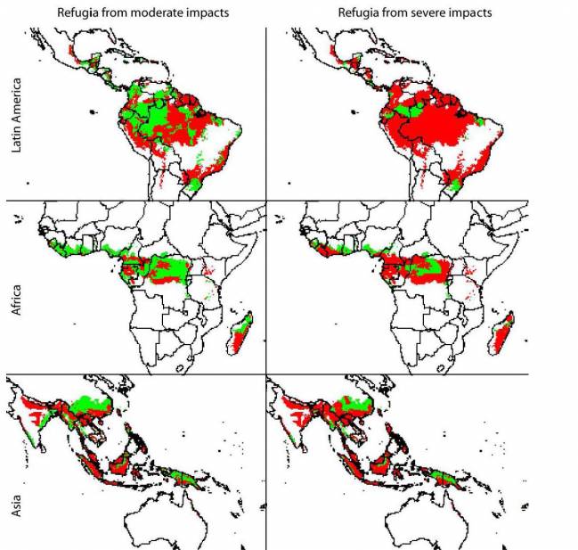 Sólo entre el 18 y 45% de los ecosistemas de los bosques tropicales subsistirá en 2100