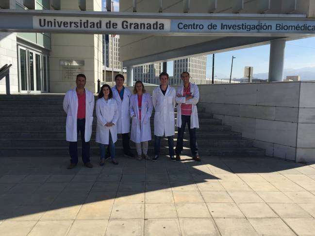 En la imagen, los investigadores de la UGR que han participado en este trabajo. De izquierda a derecha, Julio José  Ochoa Herrera, Naroa Kajarabille, Mario Pulido Morón, Silvia Hijano, Jorge Moreno Fernández y Javier Díaz Castro.   