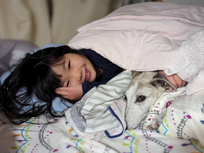 Niña con un perro