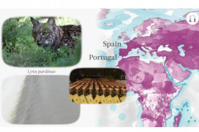 Mapa global que identifica en diferentes países los lugares donde existen especies amenazadas debido al consumo de mercancías