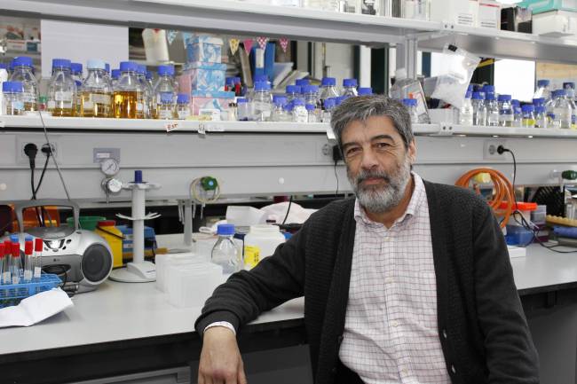 Ubiquinol, medicamento huérfano para la deficiencia primaria de coenzima Q10