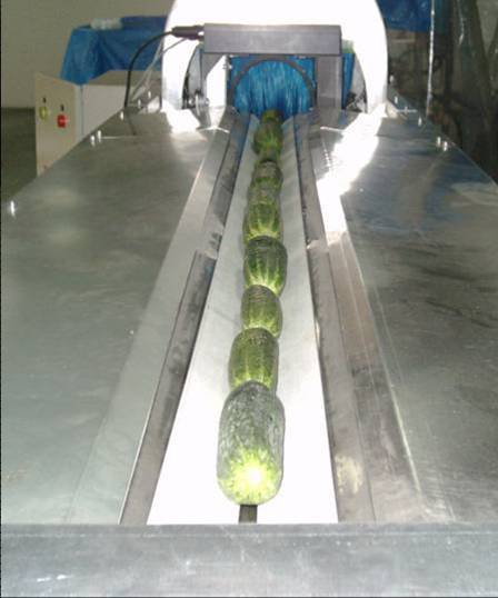 Un anillo óptico mide el tamaño de las frutas