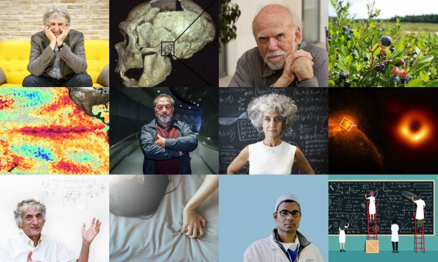 Un año en clics: las doce noticias más leídas de 2019