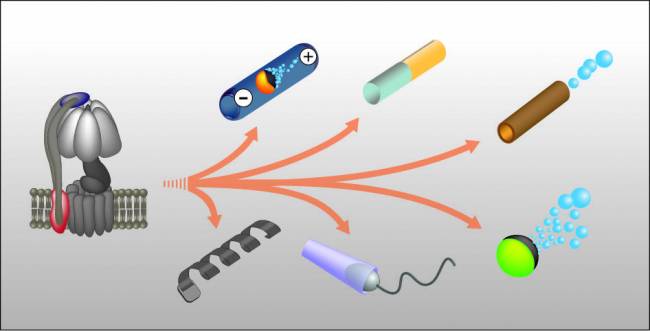 Nano- y micromotores - ICN2
