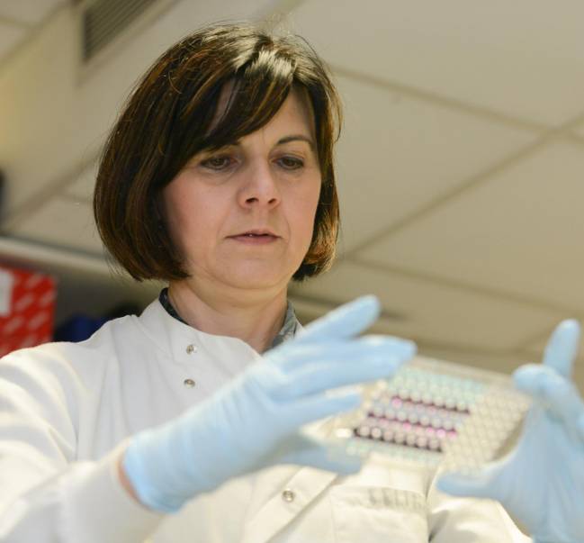 Un examen de orina permite detectar el cáncer de páncreas en etapas tempranas 