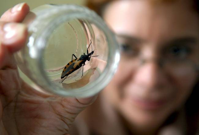 Un gen ayuda al sistema inmune a defenderse del mal de Chagas