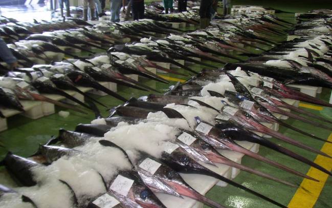 Un método de fluorescencia detecta la contaminación de mercurio en pescado