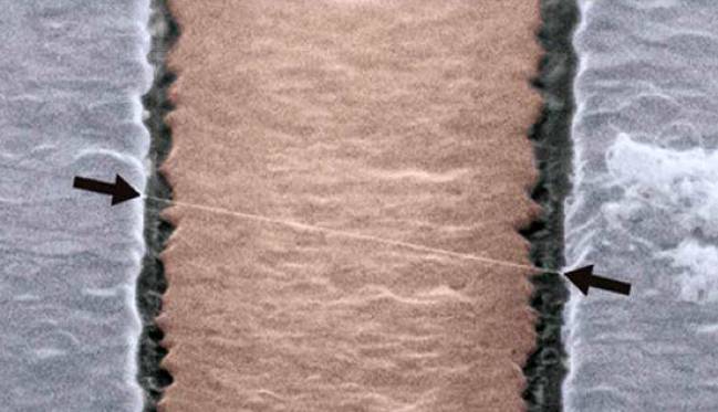 Un nanotubo vibra como la cuerda de una guitarra