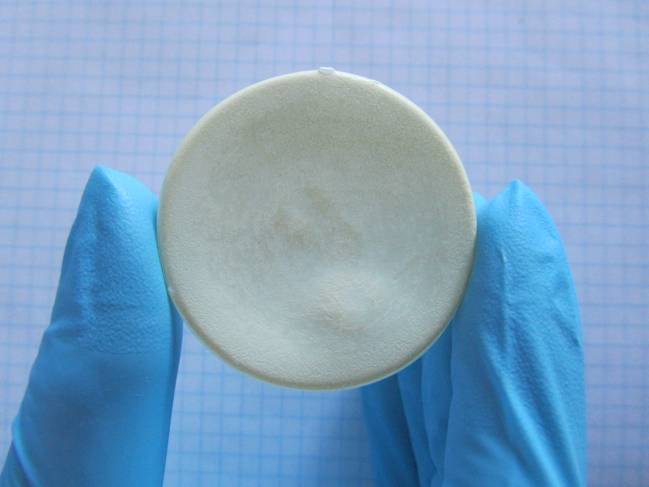 Un nuevo biomaterial podría frenar el avance de la degeneración macular 