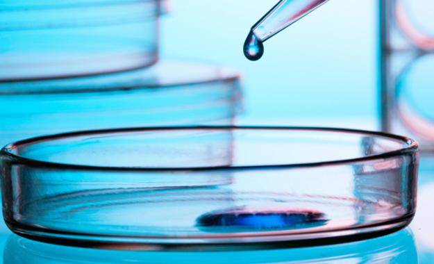 Un paso más hacia una vacuna universal contra el cáncer 