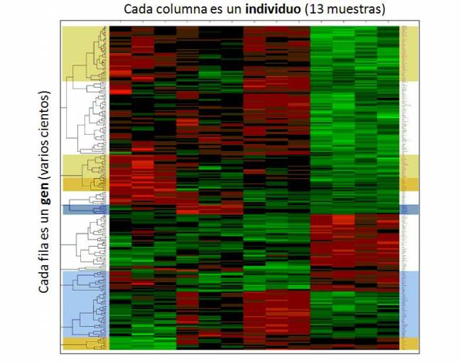 Un proyecto bioinformático busca los genes causales en adenocarcinomas