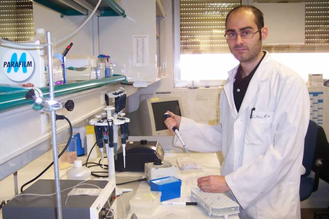 Una investigación logra conocer qué partes de las proteínas del virus del SARS son responsables de su entrada a la célula humana