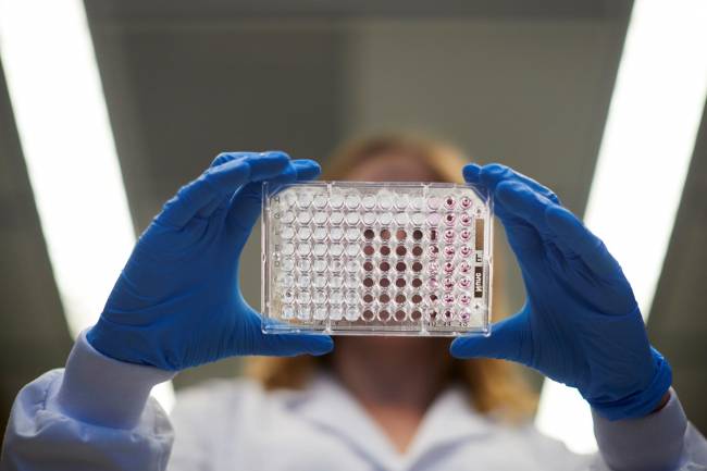Una nueva combinación farmacológica muestra eficacia en cáncer de páncreas