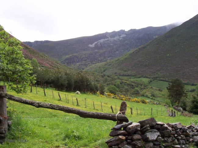Una nueva herramienta permite estudiar mejor la recuperación del monte tras un incendio forestal