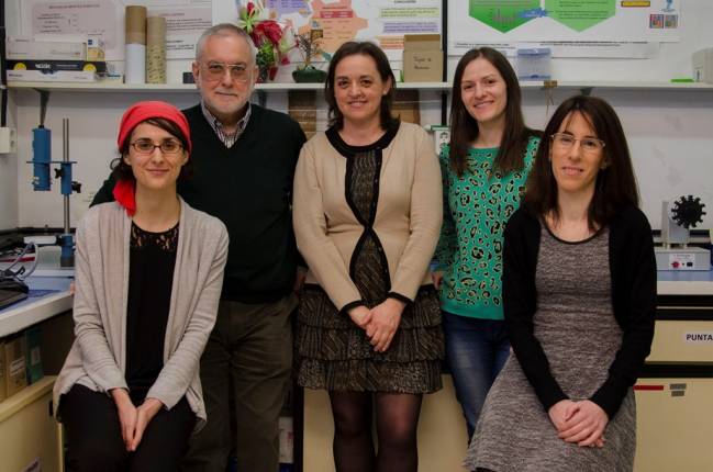 Una nueva técnica mejora y abarata la detección del gluten en alimentos