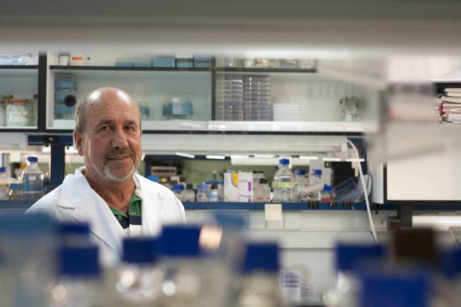 Mariano Esteban, CNB-CSIC