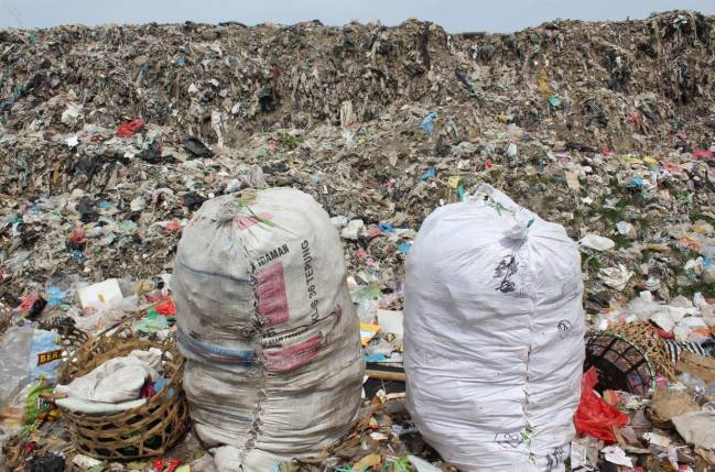 Unos 8.300 millones de toneladas de plástico circulan por el mundo