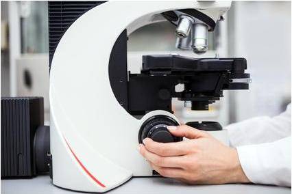 Utilizan células madre uterinas para combatir el cáncer de mama