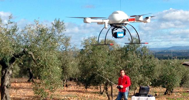 Utilizan drones para cartografiar árboles