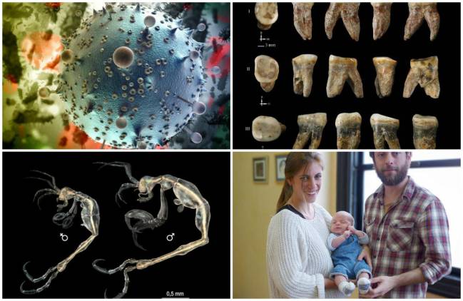 Veinte grandes logros de la ciencia española en 2014