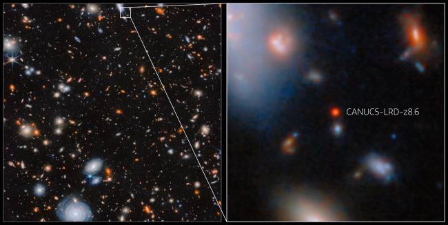 Galaxia CANUCS-LRD-