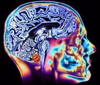 En aquella época se anticipó el concepto de neurotransmisión. / Gerardo Ruiz