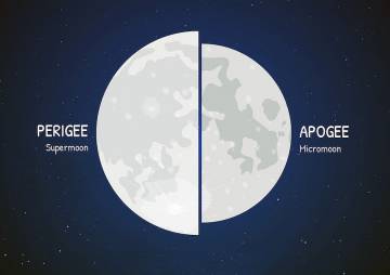 Imagen comparativa de una superluna y una microluna, una diferencia solo aparente según esté más cerca (perigeo) o más lejos (apogeo) de la Tierra en su órbita. / NASA