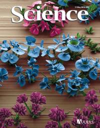 Portada de 'Science'. /Noorduin y Aizenberg