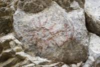 Pinturas rupestres del sol y el arquero