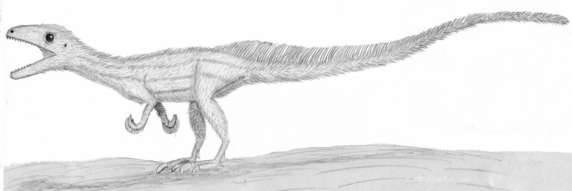 <p>Dibujo del Sciurumimus. Imagen: Oliver Rauhut</p>