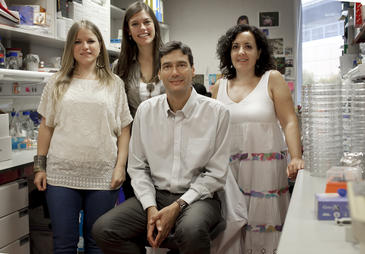 Equipo investigador responsable del pionero hallazgo. / CNIO Equipo investigador responsable del pionero hallazgo. / CNIO