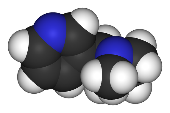<p>Molécula de la nicotina. Imagen: Wikipedia.</p>