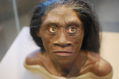 <p>Reconstrucción de una mujer <em>Homo floresiensis</em>. / Karen Neoh</p>