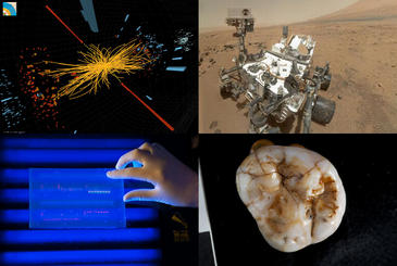 De izquierda a derecha y de arriba a abajo: simulación del bosón de higgs, autorretrato del Curiosity en Marte, molar descubierto en la cueva Denisova y secuenciación y método de secuenciación de ADN. Imagen: Varios