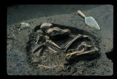 Fósiles de perros antiguos en Europa. / Del Baston