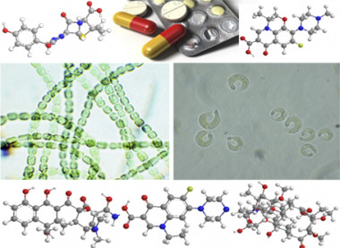 <p>Cianobacteria (izquierda) y algas verdes (derecha) rodeadas de las estructuras moleculares de amoxicilina, norfloxacino, tetraciclina, levofloxacino y eritromicina. / UAM</p>