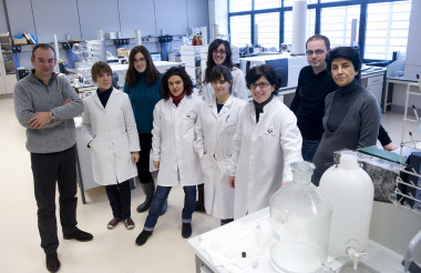 <p>Miembros del grupo METABOLOMIPs. Imagen: UPV/EHU.</p>